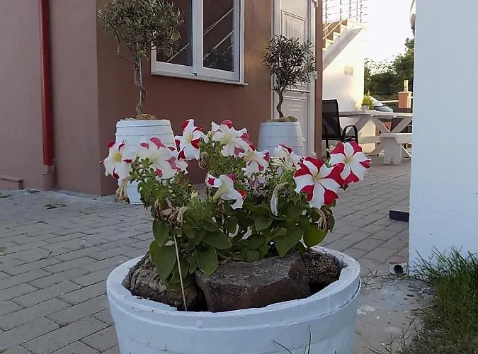 De Sol Daire Limenaria (Thasos)